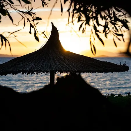 فيلة Casa El Azahar